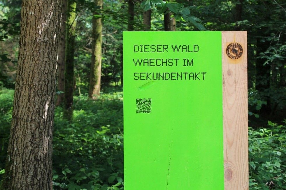 Bild eines Infoschildes im Wald, dass der Wald im Sekundentakt wächst