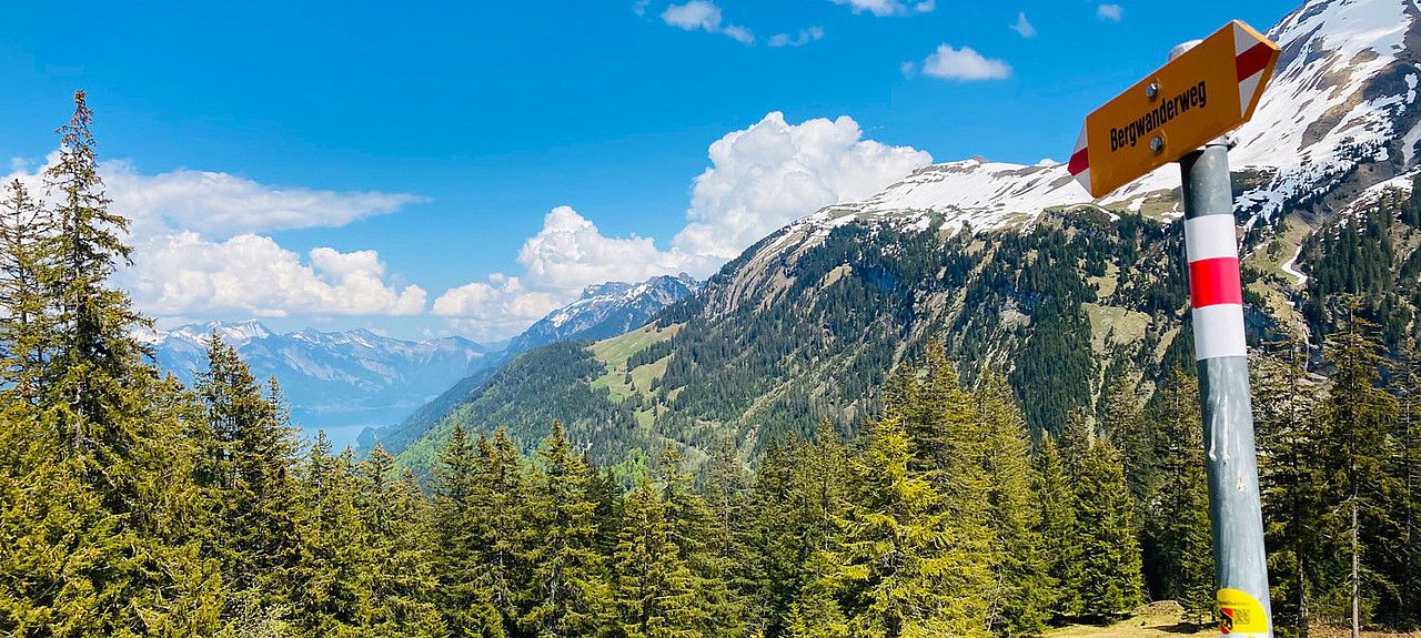 Bild eines Wegweisers, der einen Wanderweg anzeigt