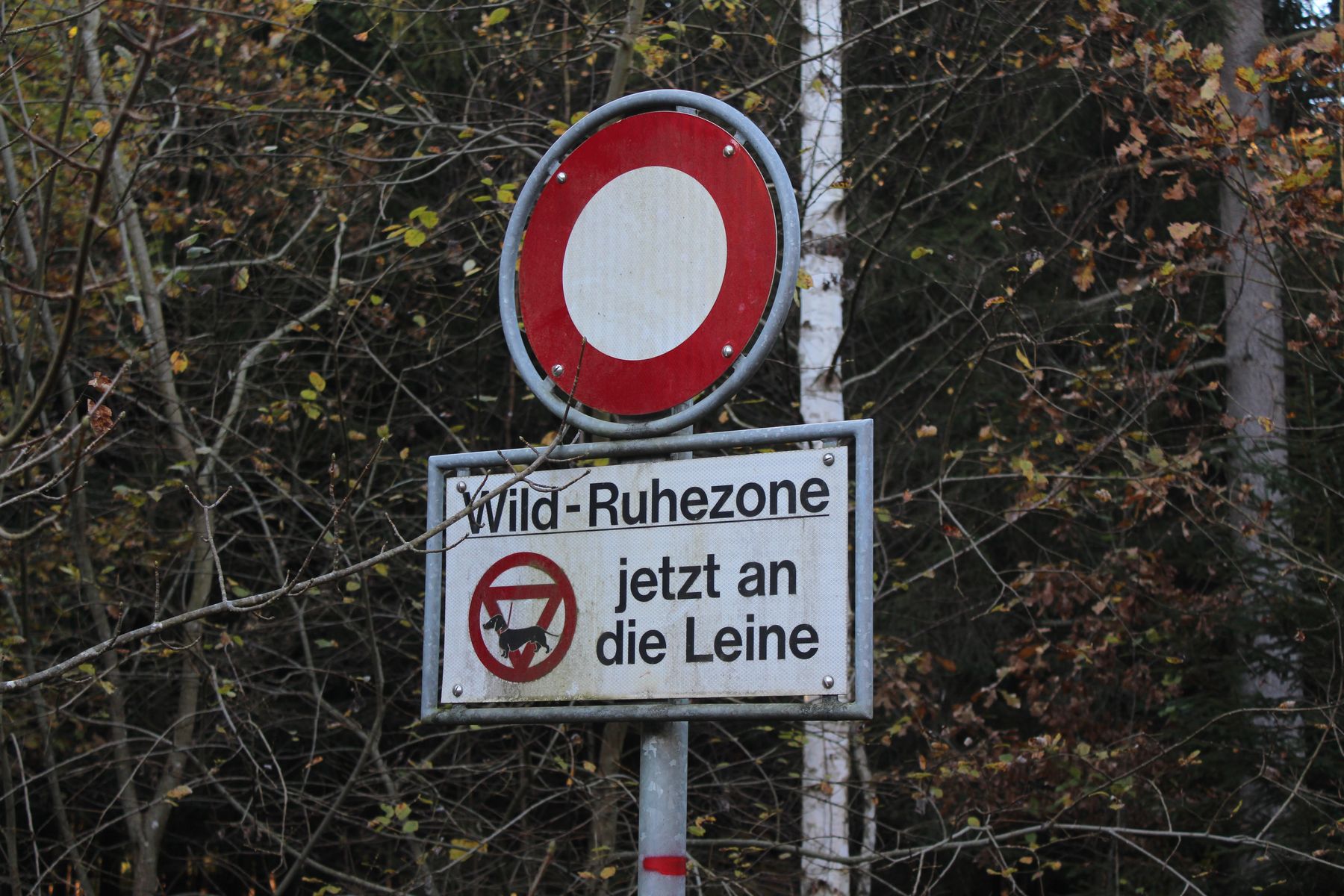 Schild Wild-Ruhezone