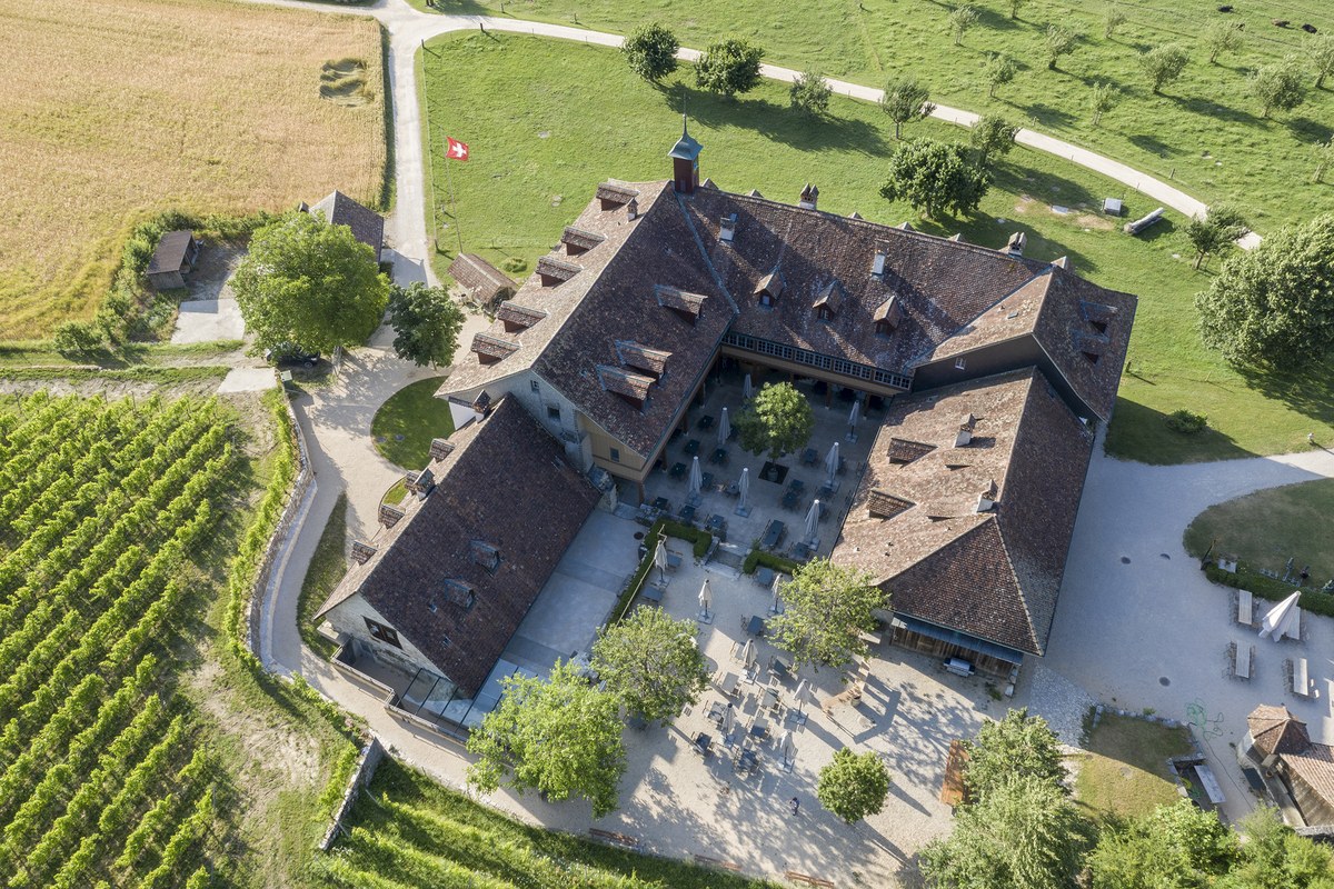 Rund um den Konventstrakt des ehemaligen Klosters wurde die archäologische Zone neu gestaltet (Foto Philippe Joner, archäolog.Dienst des Kantons Bern). Vergrösserte Ansicht