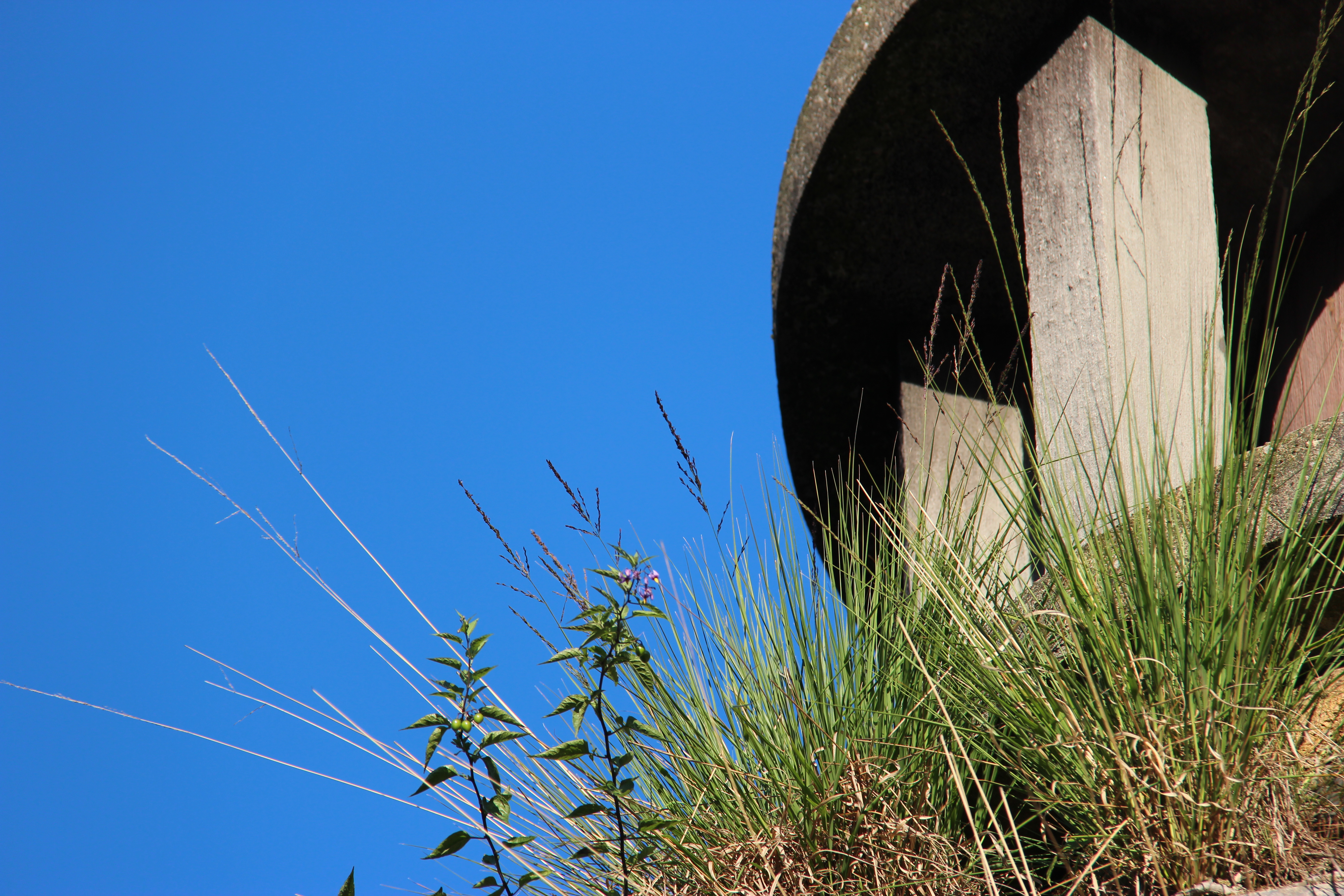 Meret Oppenheim Brunnen – Hörbeitrag Balts Nill