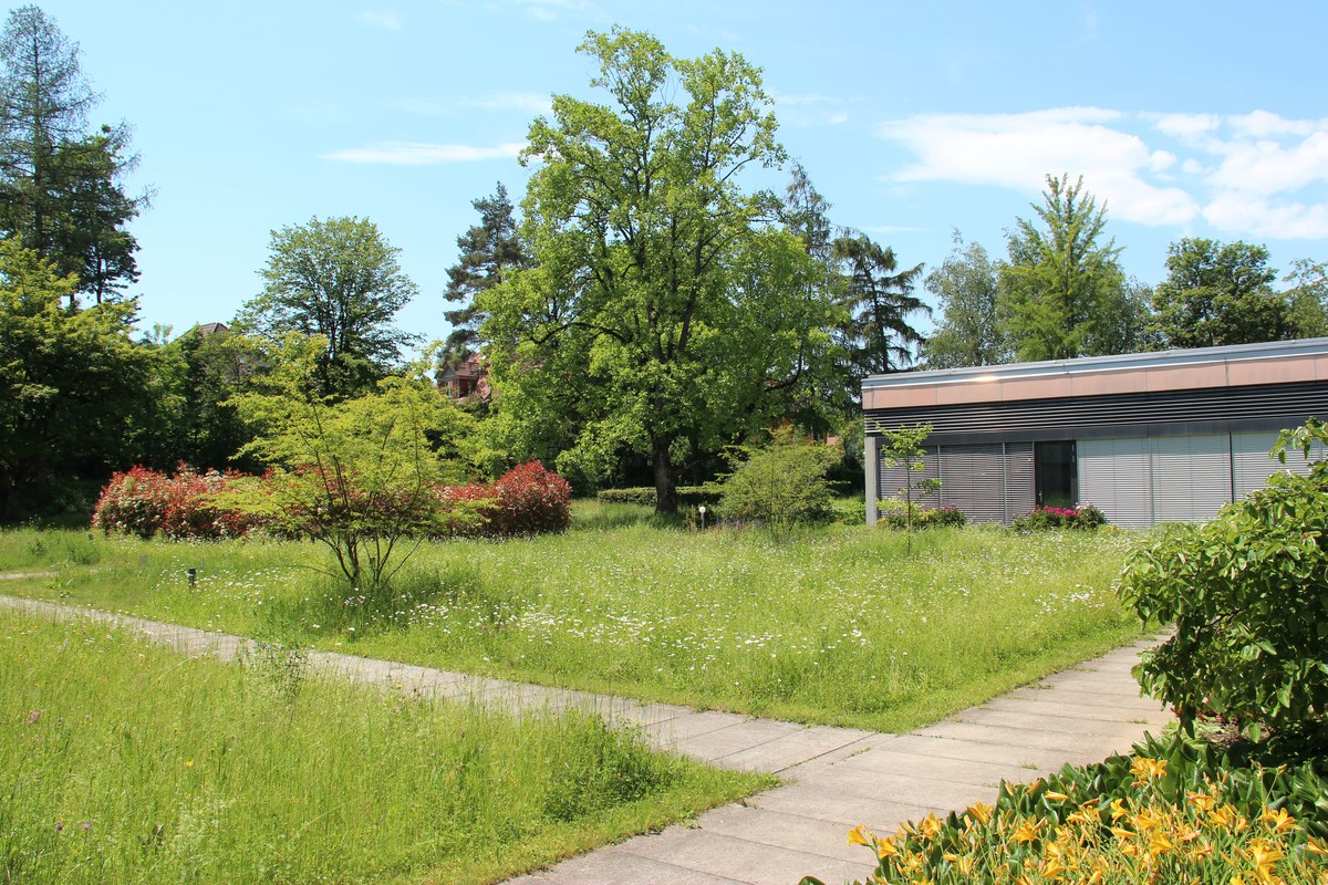 Ein Rundweg führt durch den Garten. Vergrösserte Ansicht