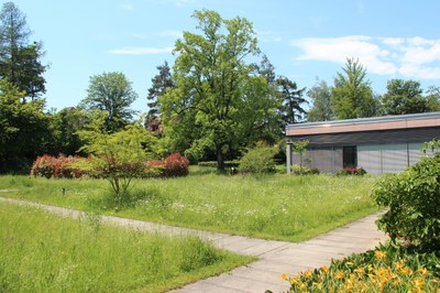 Ein Rundweg führt durch den Garten