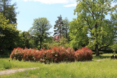 eines der drei Gartenzimmer