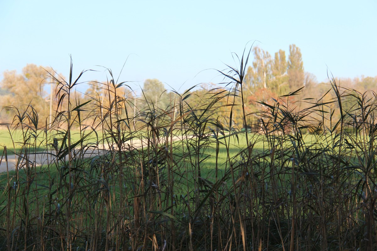 Impressionen 2. Vergrösserte Ansicht