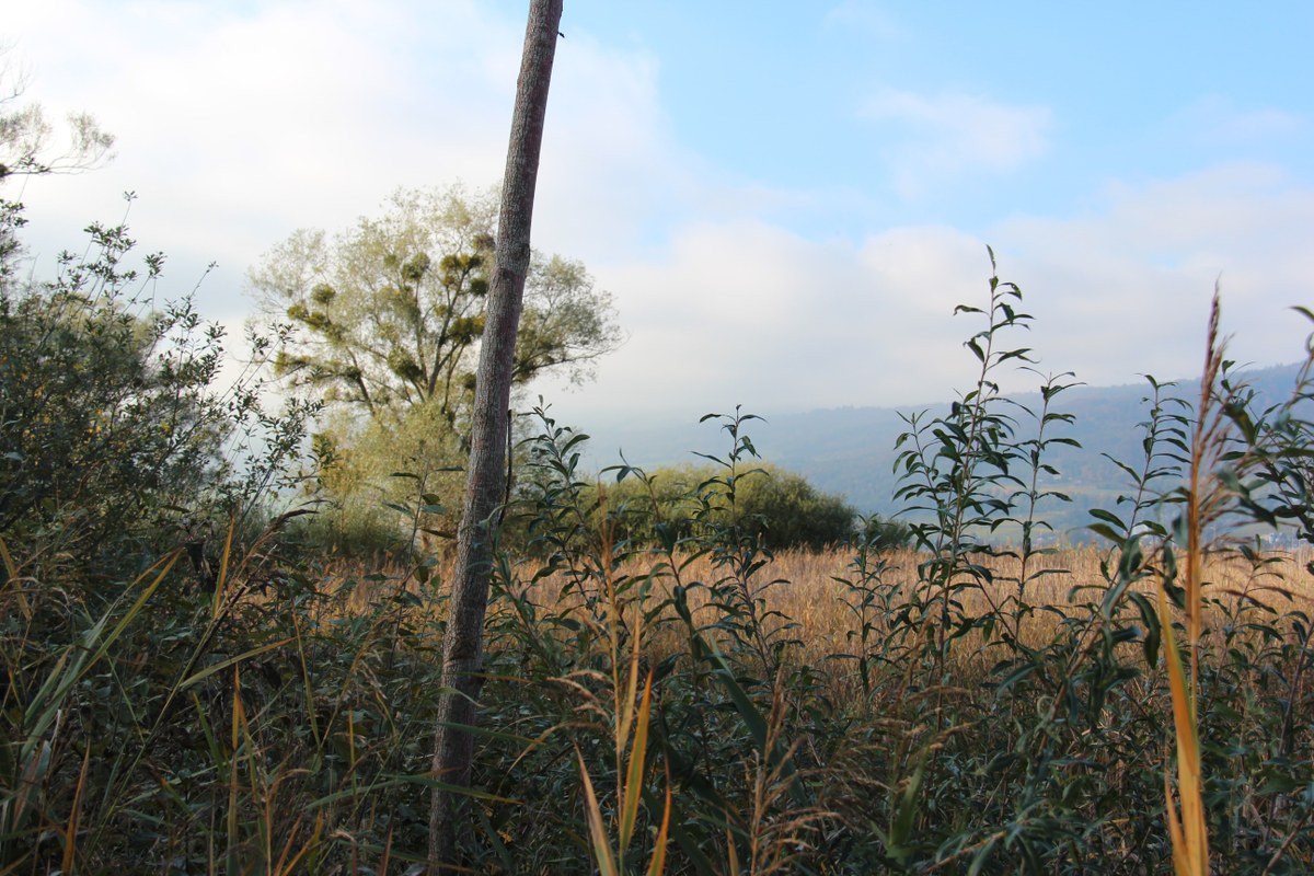 Impressionen 1. Vergrösserte Ansicht