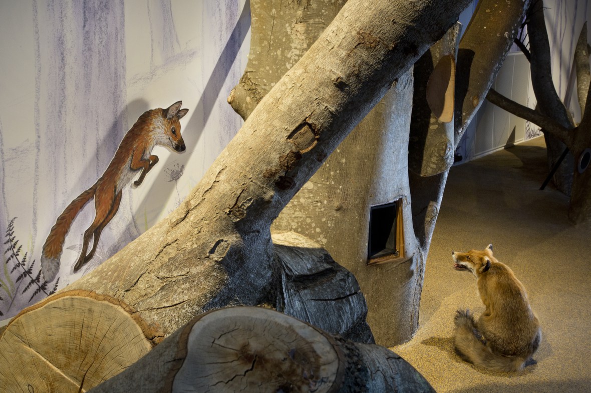 Der Wald im Museum: «Picas Nest» - Ein Erlebnisraum für die ganze Familie