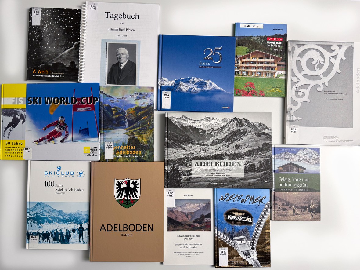 Die Bibliographie der Berner Geschichte wird 50!