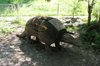 Wird bald durch einen Esel aus Holz ersetzt.