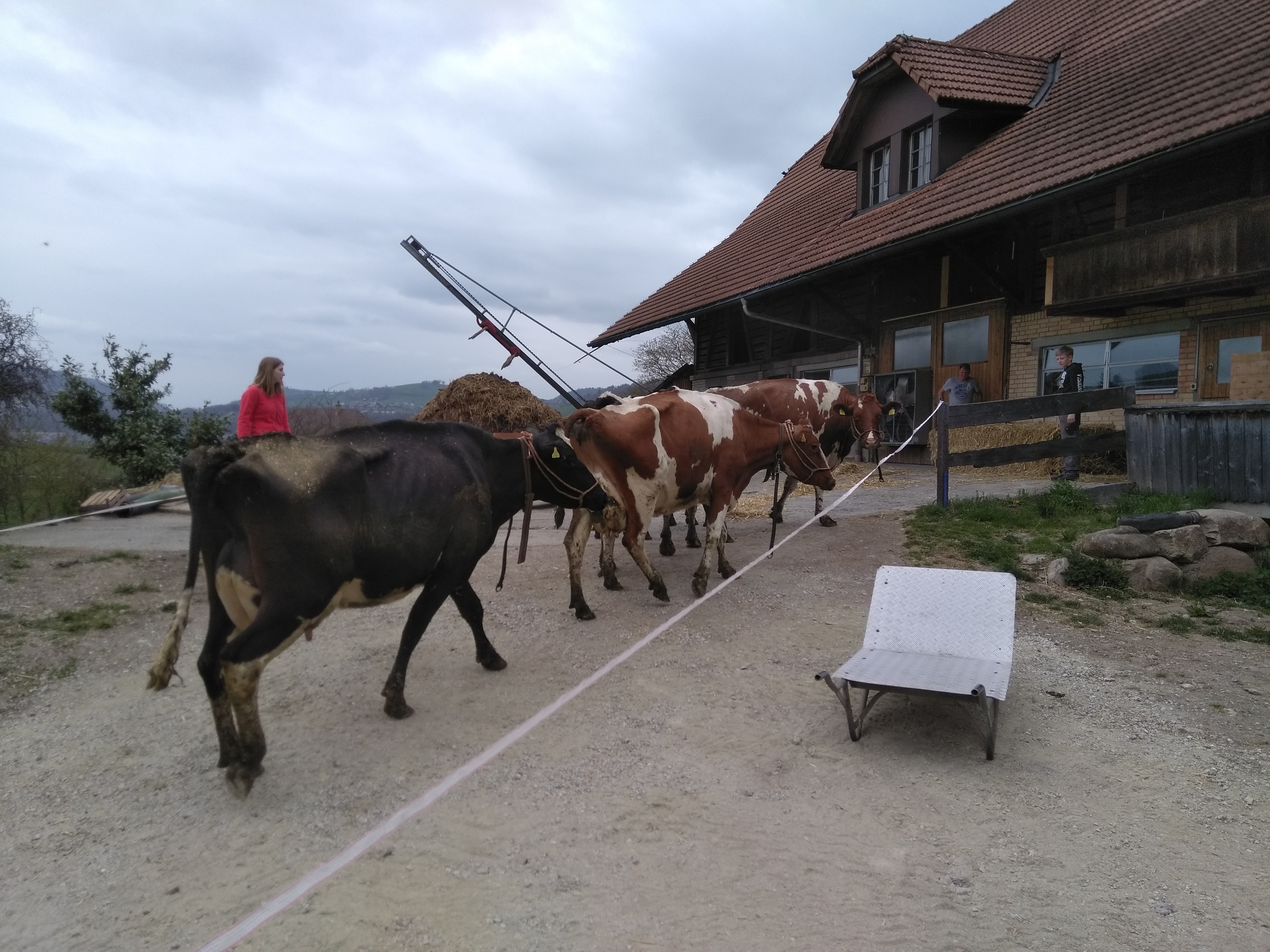 Erste Schritte auf Worber Boden 3