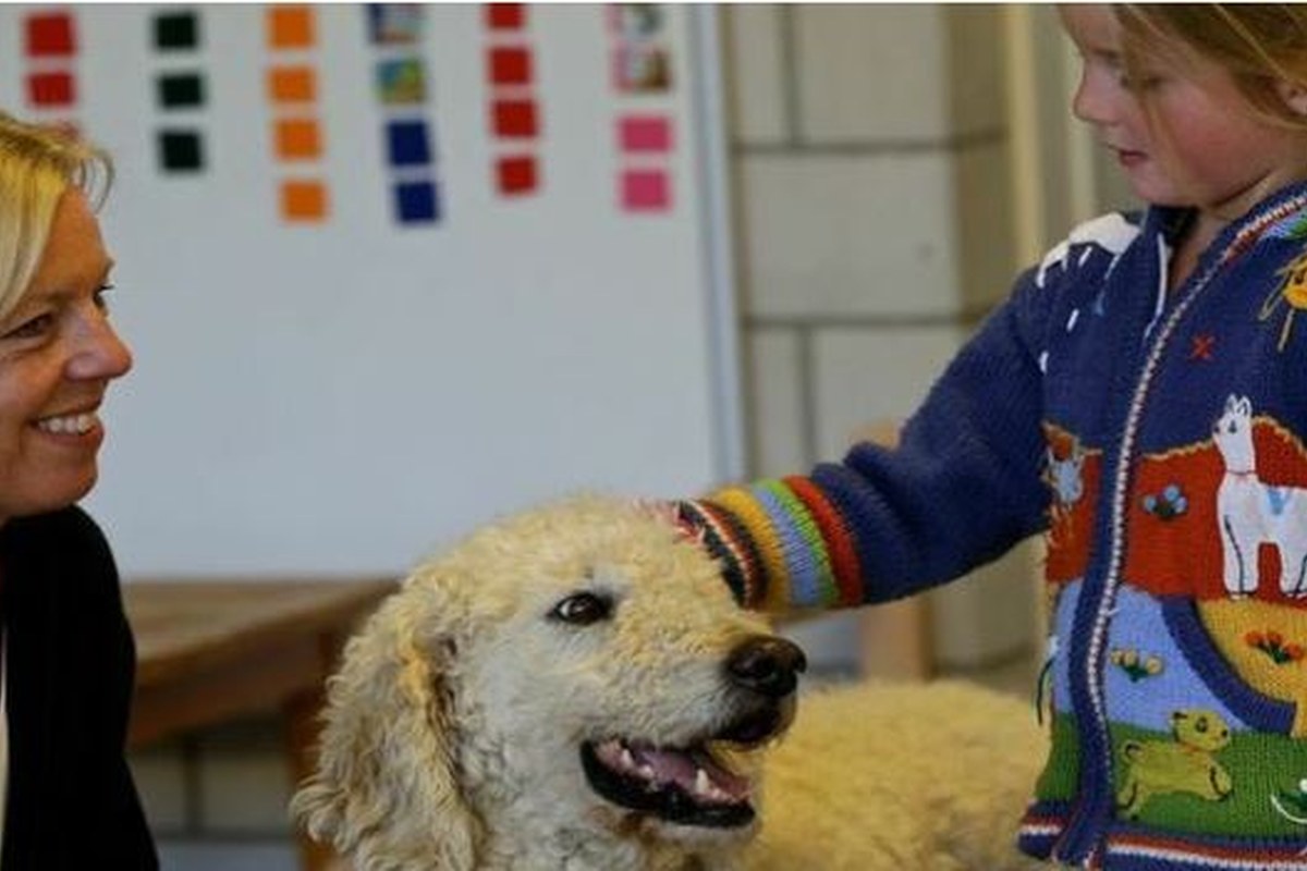 Hundetrainerinnen führen durch die Lektionen. Vergrösserte Ansicht