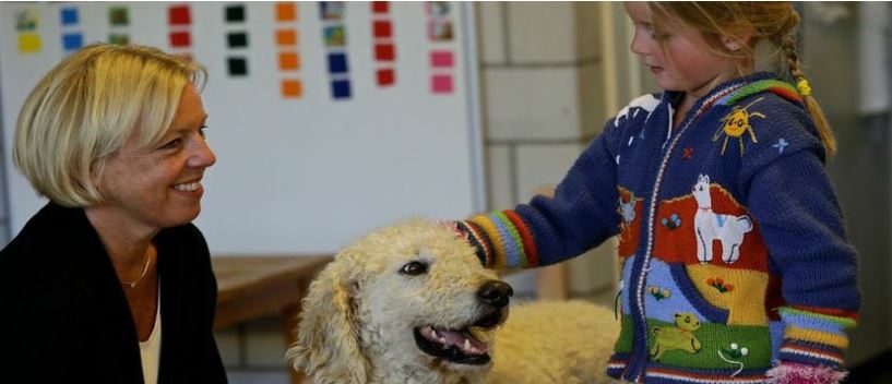 Hundetrainerinnen führen durch die Lektionen