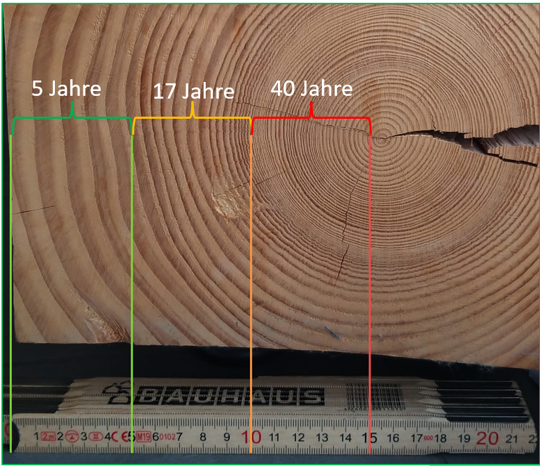 Schnell reagieren ist Gold wert