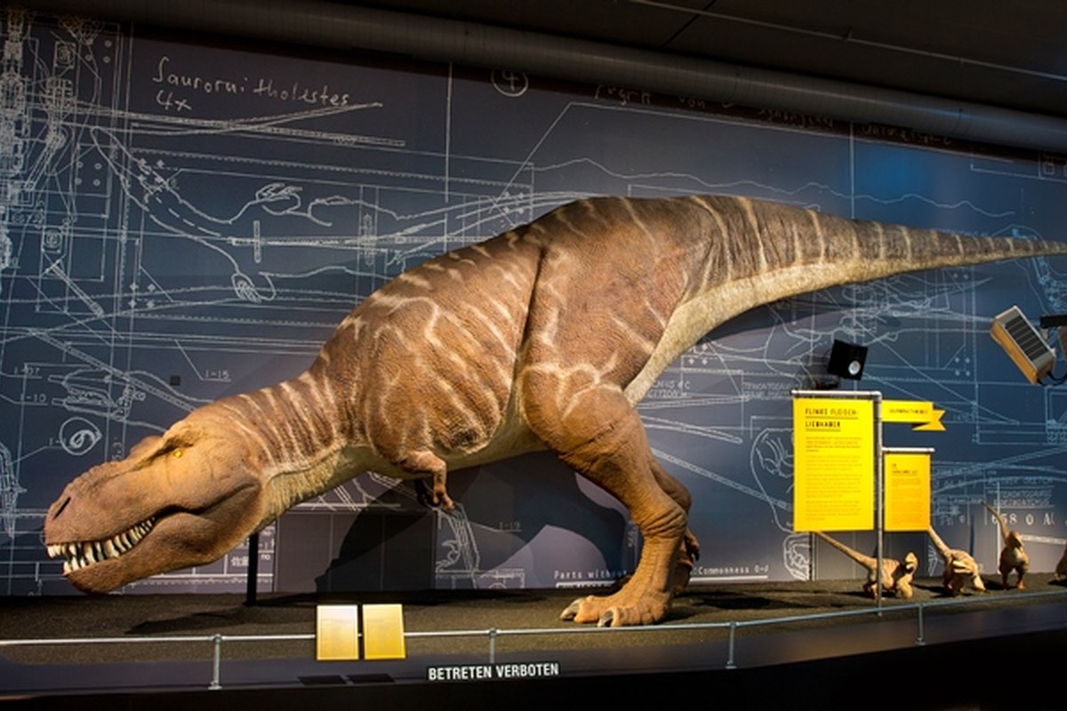 1-ausstellung-t-rex-kennen-wir-uns-ku3b0303-g.jpg. Vergrösserte Ansicht