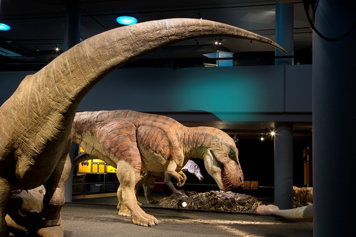 3-ausstellung-t-rex-kennen-wir-uns-ku3b0307-g-1.jpg. Vergrösserte Ansicht