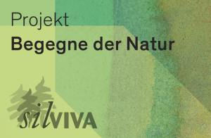 Begegne der Natur - «Mit den Sinnen den Wald erleben»