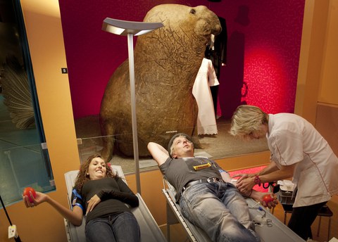 Blut spenden im Museum