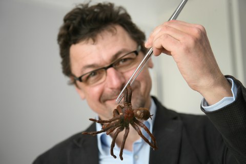 Christian Kropf: Insekten, Krebse, Spinnentiere – das Erfolgsmodell «Gliederfüsser»