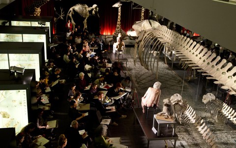 Drink'n'Draw im Naturhistorischen Museum Bern