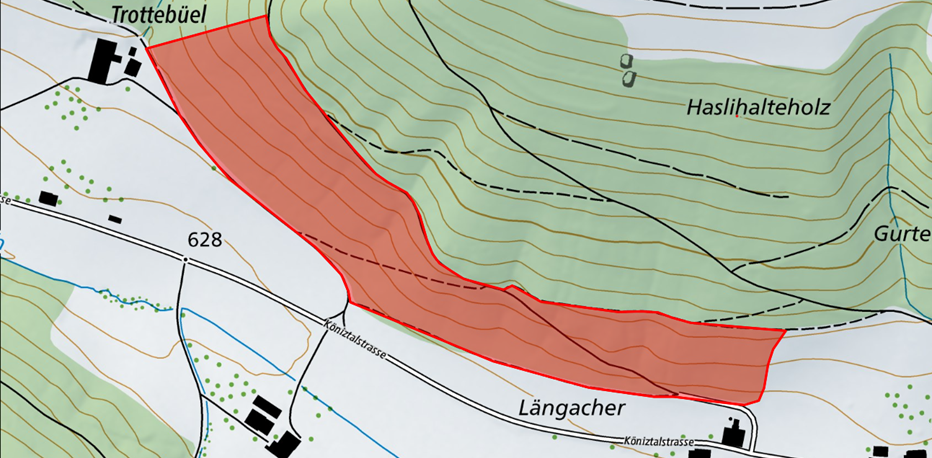 Waldführung zu Arbeiten im Gurtentäliwald