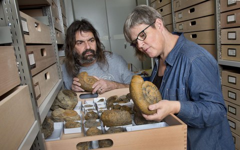 Führungen durch die Sonderausstellung 5 Sterne