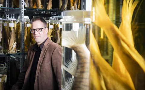 Führungen hinter die Kulissen – Rumble in the Jungle: Die Vielfalt der Fische im Chinko-Fluss