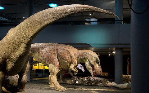 ABGESAGT: Museumsnacht im Naturhistorischen Museum - Dinosaurier