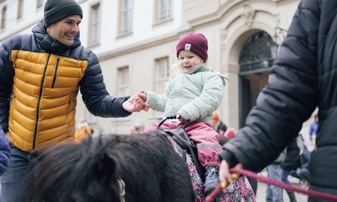 Pony-Plausch im Berner Generationenhaus