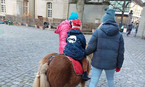 Pony-Plausch & Kinder schminken im Berner Generationenhaus