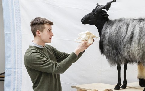 «Tiere der Schweiz» und «Tiere Afrikas» im Naturhistorischen Museum