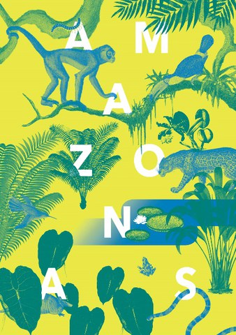 Tierzeichnen: Tiere des Amazonas