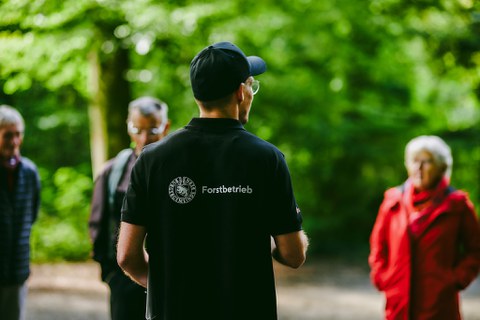 Waldspaziergang Dählhölzli