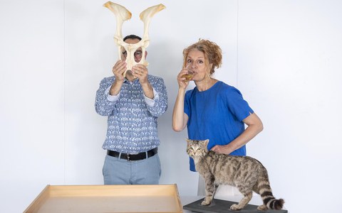 Wissen-Saft im Naturhistorischen Museum