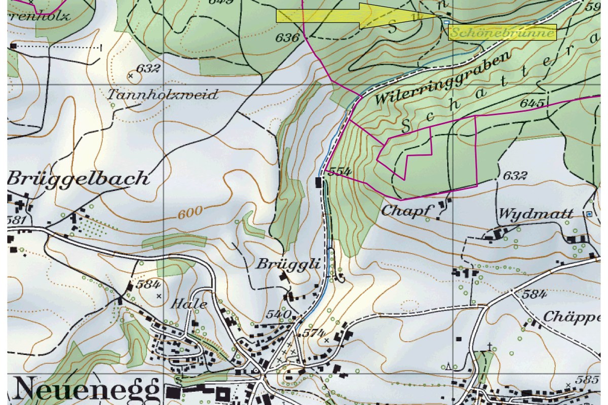 Schönenbrunnen (Karte). Vergrösserte Ansicht