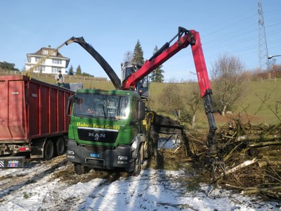 Hackholzherstellung