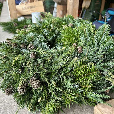 Impressionen Weihnachtsbaumverkauf