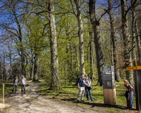 Insel Weg 3 (©Stefan Weber)