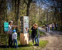 Insel Weg 4 (©Stefan Weber)
