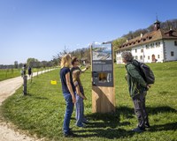 Insel Weg 5 (©Stefan Weber)