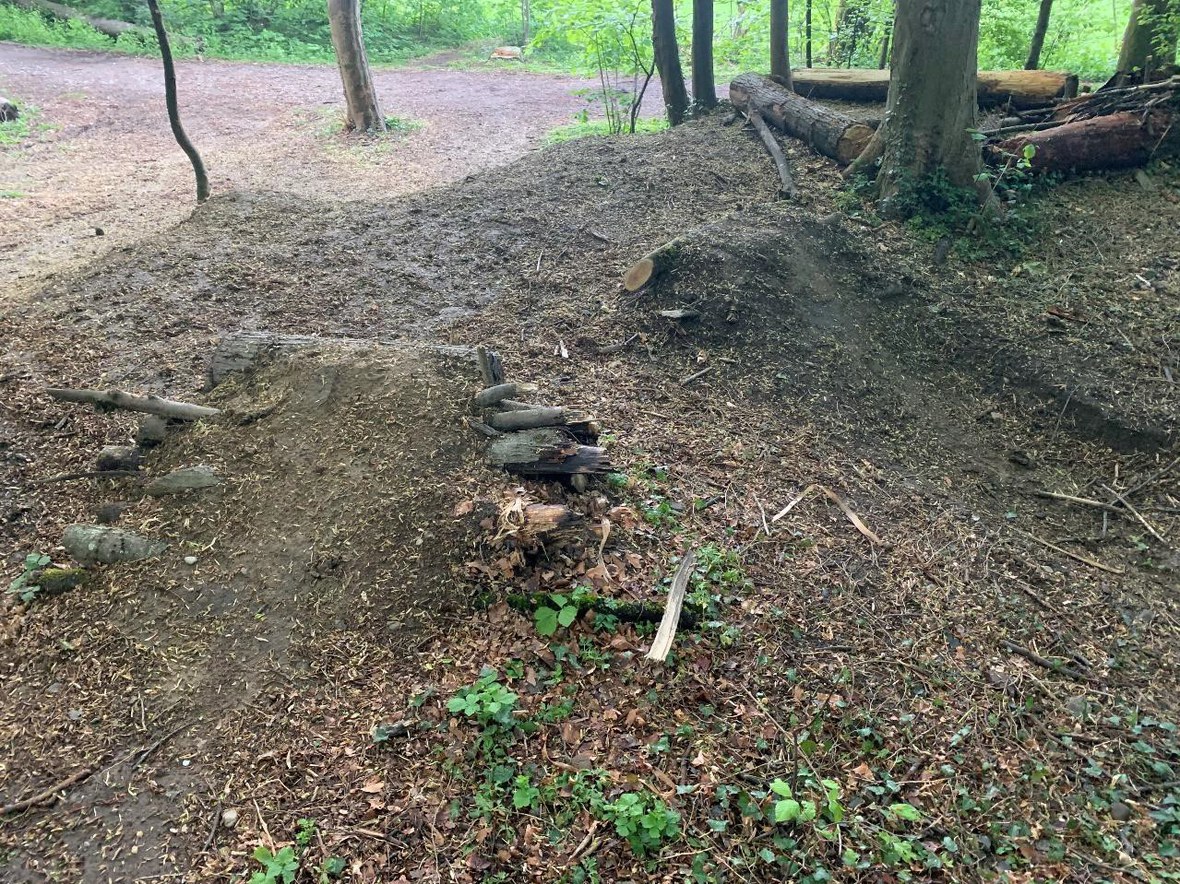 Erinnerung an Vorschriften im Wald