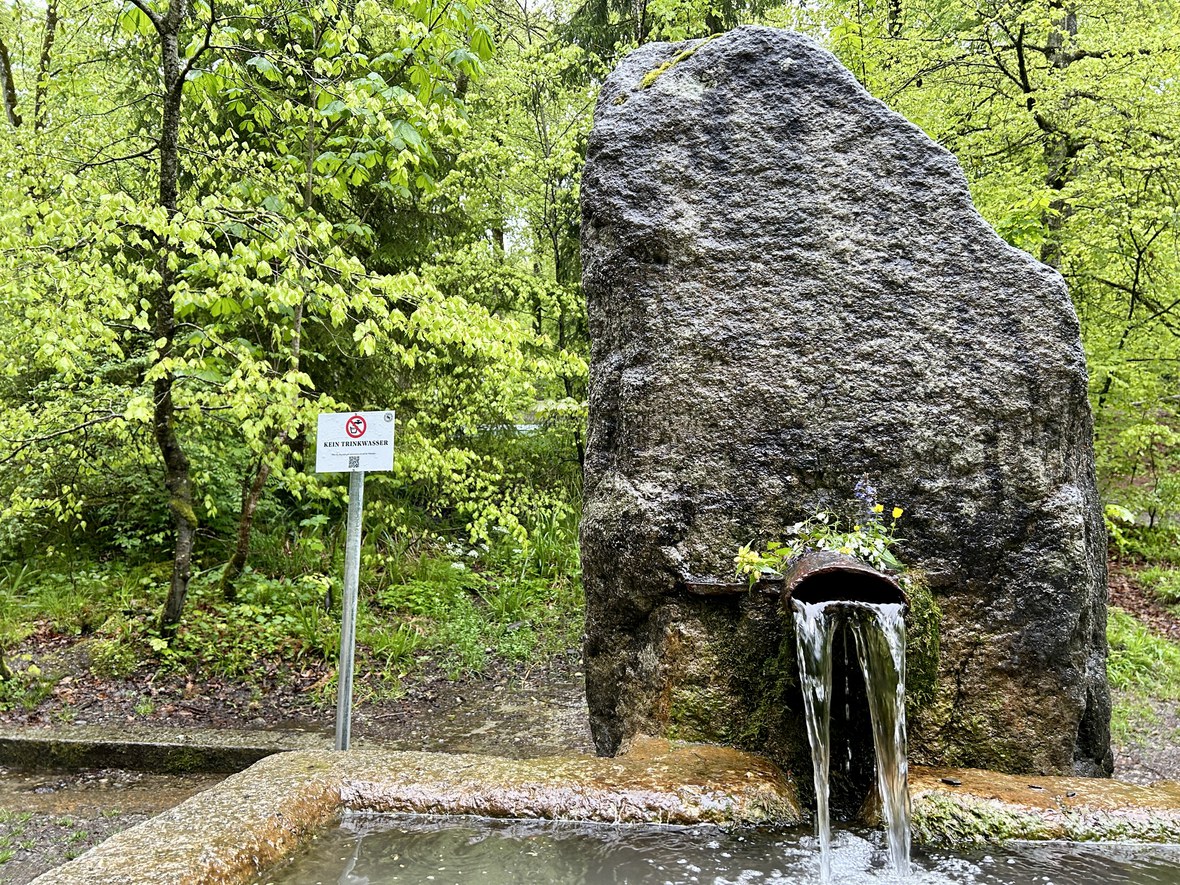 Glasbrunnen im Bremgartenwald: Trinkwasserqualität nicht sichergestellt