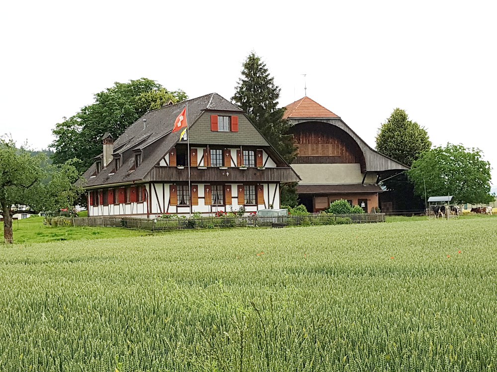 Kauf des Schürmattguts in Muri b. Bern