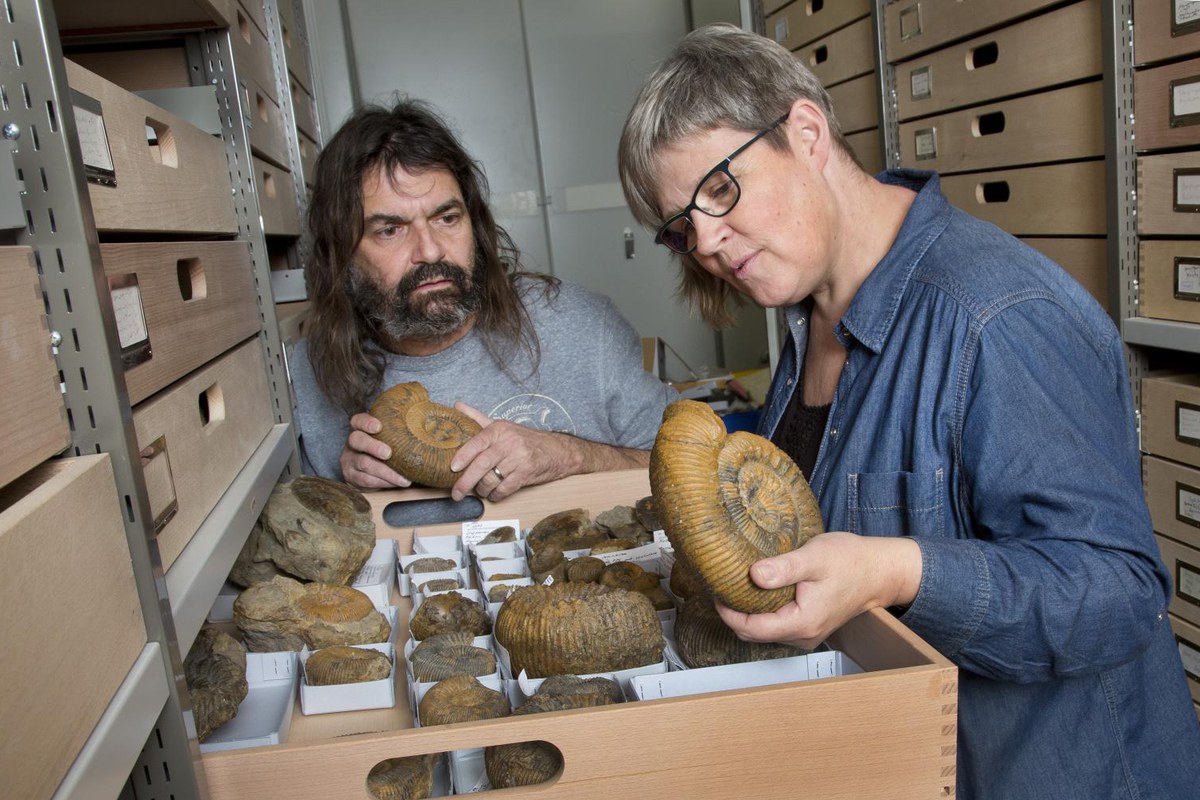 5sterne.jpg. Vergrösserte Ansicht