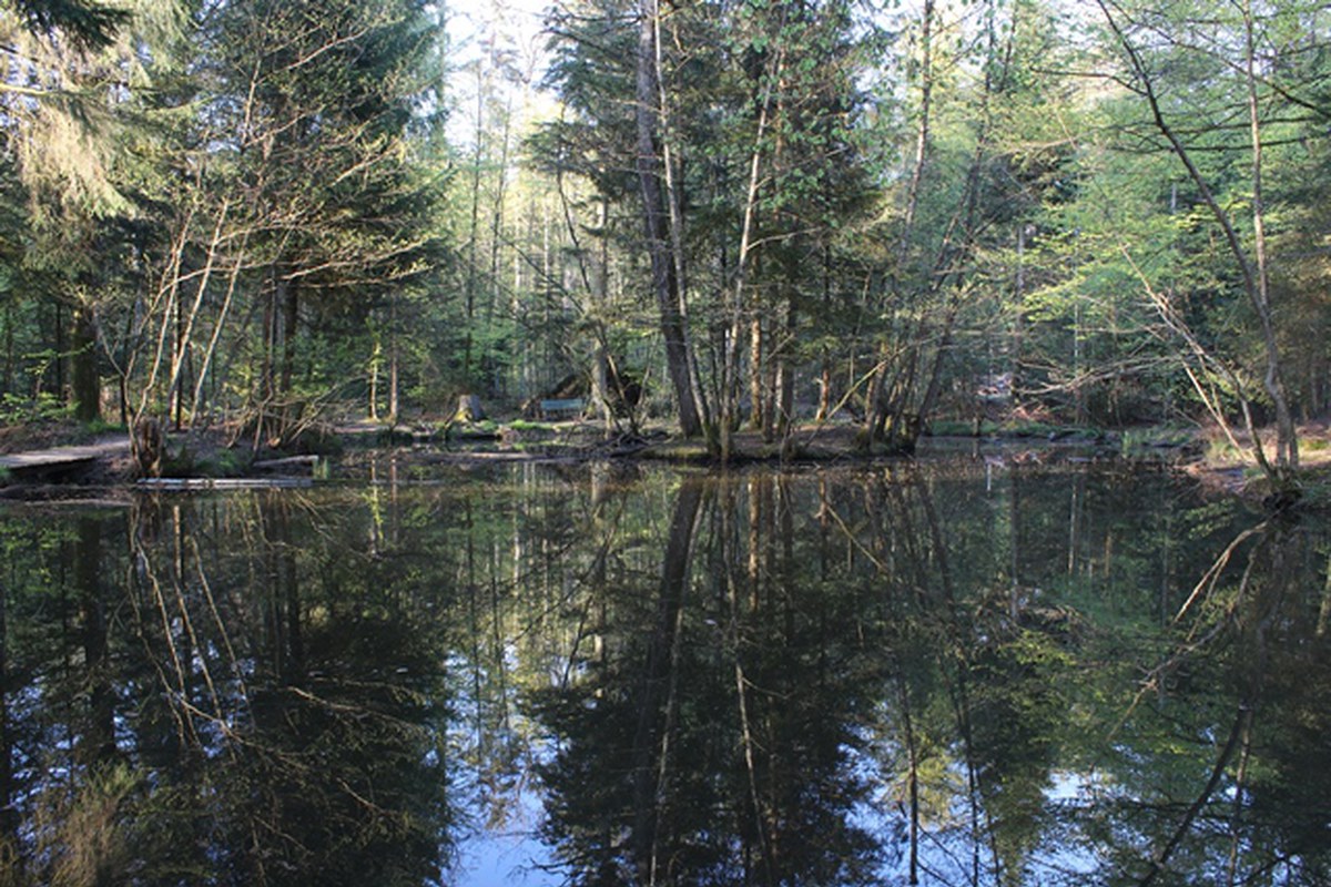 img-5336.jpg. Vergrösserte Ansicht